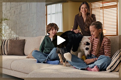 Konfor Mobilya Panço Köpek Filmi